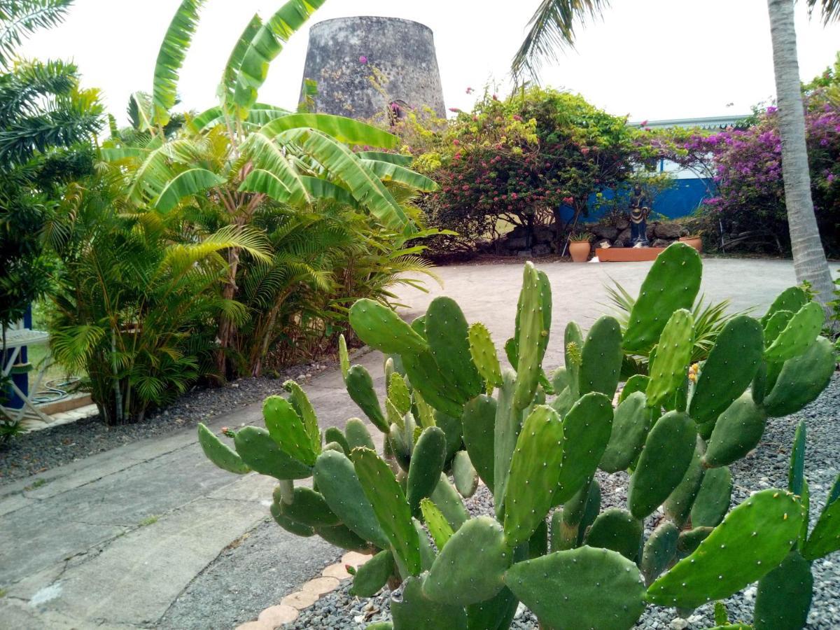 Le Moulin De La Baie Piscine Vue Mer Le Moule Buitenkant foto